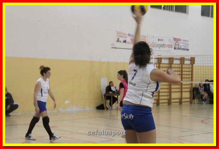 140305 Primula 113_tn.jpg